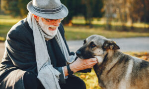Idosos que possuem cães têm 40% menos probabilidade de desenvolver demência, diz estudo