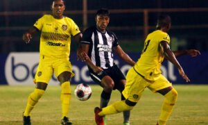 onde assistir botafogo x madureira