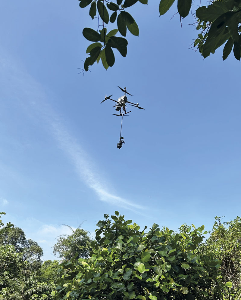 Drones transportam equipamentos e coletam ramos a até 60 metros de altura