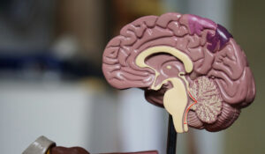 Ozempic tem potencial para tratar Parkinson e Alzheimer, dizem cientistas