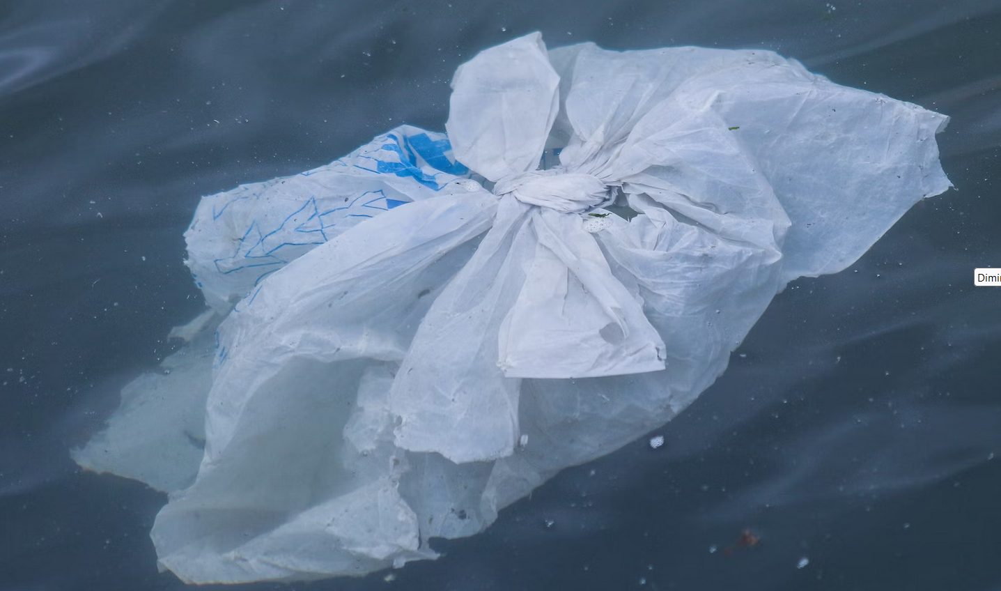 Proibir sacolas de plástico reduz o impacto ambiental.