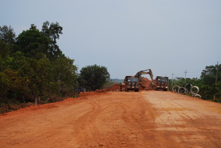 Cientistas alertam para novas pandemias com asfaltamento de rodovia na Amazônia