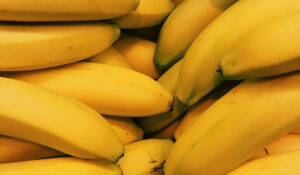 Aprovada: 1ª banana geneticamente modificada vai para cultivo na Austrália