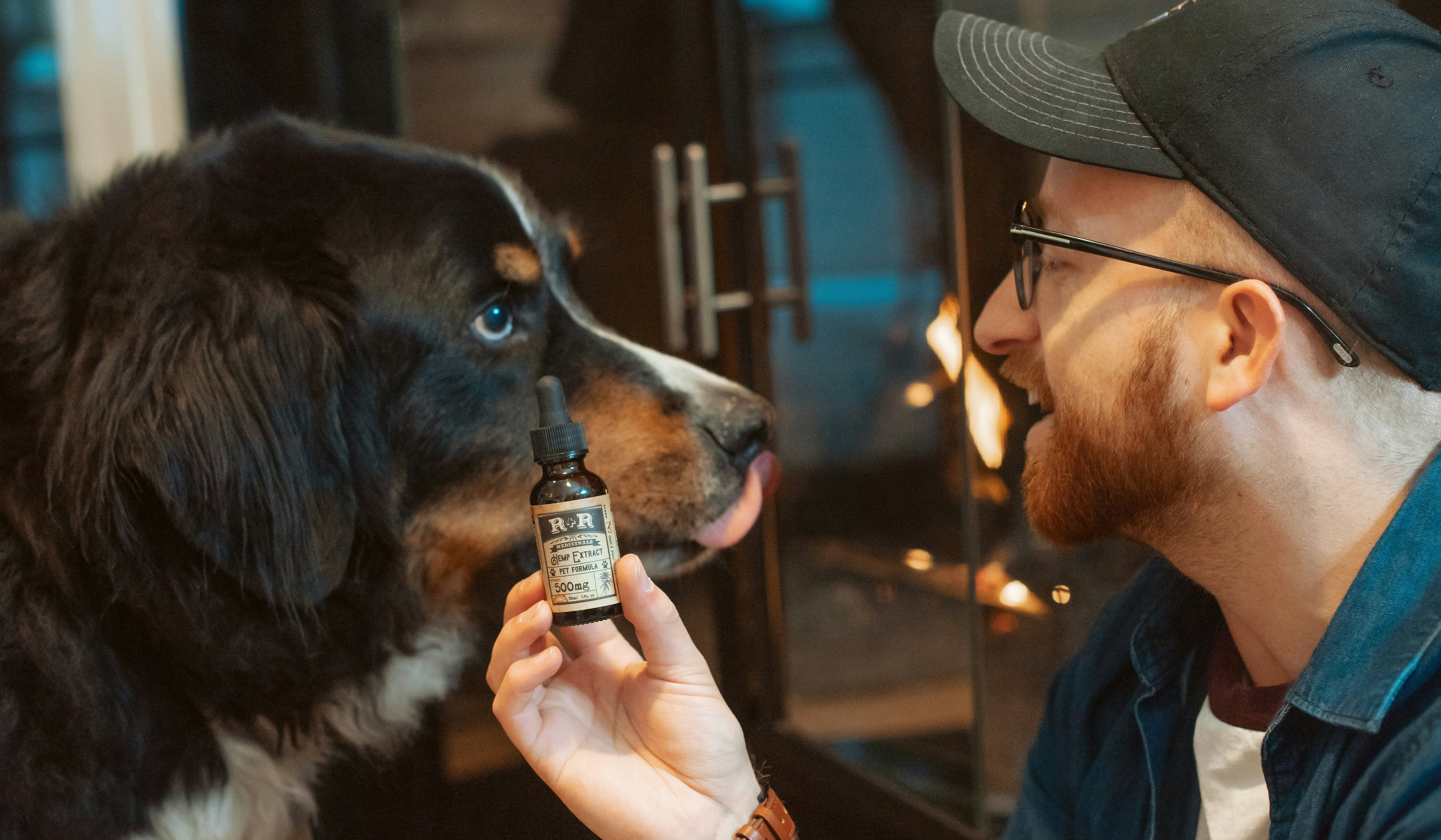 Veterinários estão usando Cannabis para tratar pets, furões e até elefantes