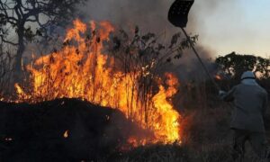 Amazônia incêndio