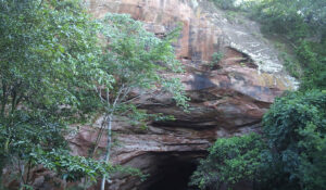 Cientistas encontram vetores da leishmaniose em gruta turística do interior de SP