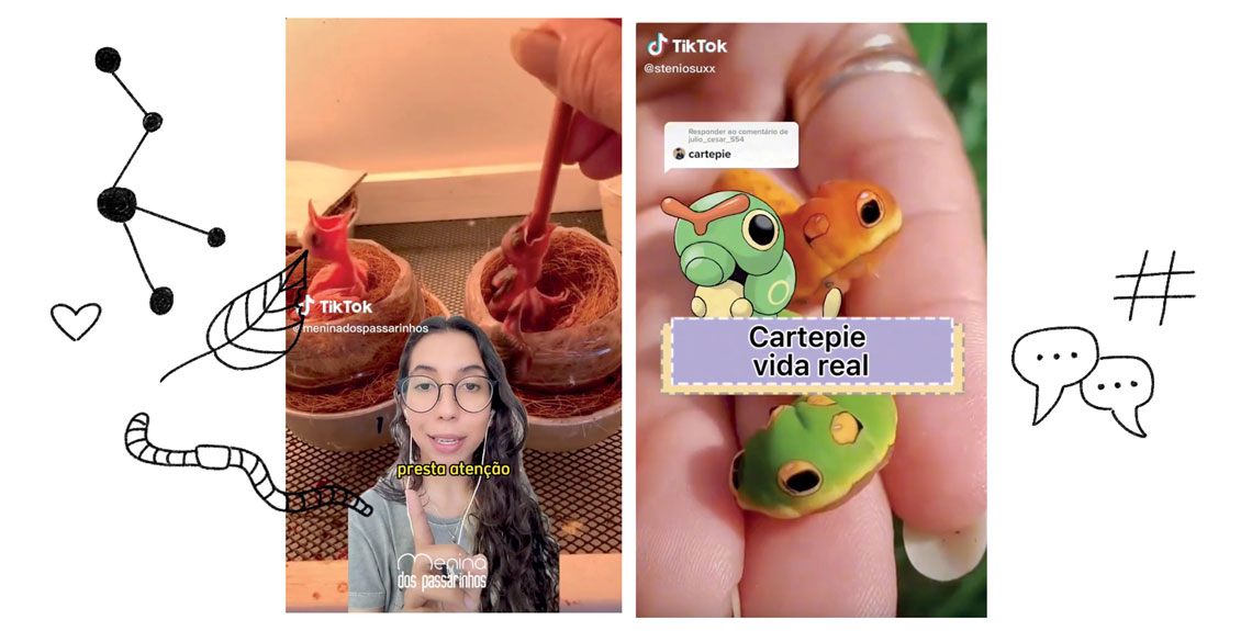 Semelhança entre o pokémon Caterpie e lagartas em vídeo de Carlos Stênio, e Juliana Moraes, a @meninadospassarinhos: experiência com vídeos na universidade levou-a ao Instagram e TikTok