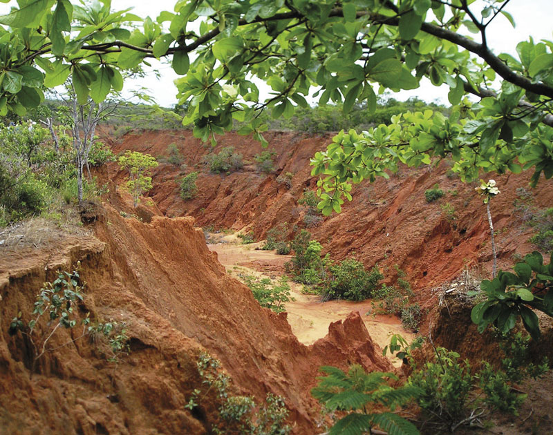 O mapeamento das irregularidades do solo pode conter processos erosivos como este, em Mato Grosso