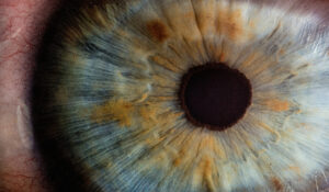 Bactérias intestinais podem causar cegueira? Novo estudo diz que sim