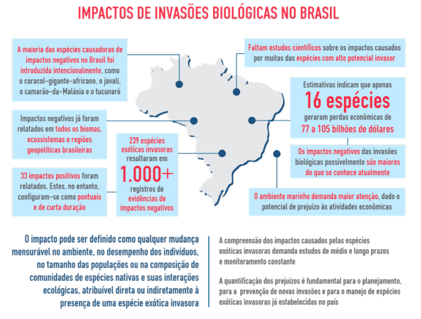 Brasil tem 476 espécies invasoras que causaram mais de mais de U$77 bilhões em prejuízo