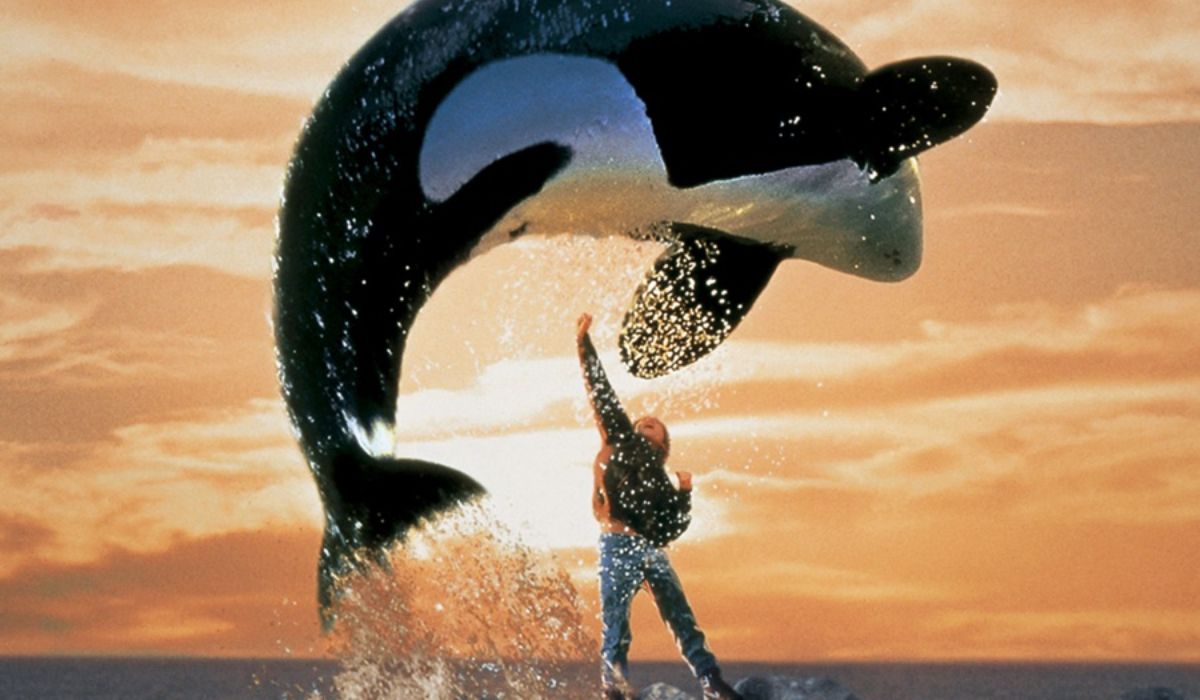 free willy sessão de sábado filmes sábado globo