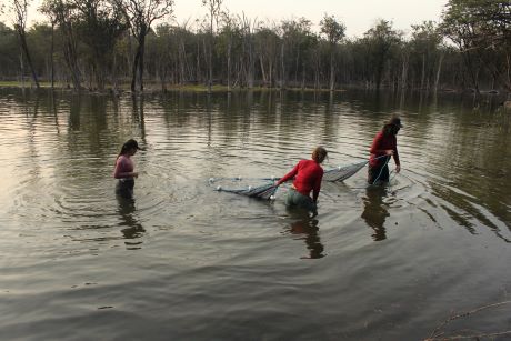  Equipe da Expedição DEGy Rio Negro faz arrasto para coleta de peixes em igarapé no rio Jauaperi 