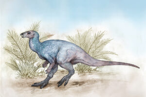 Argentinos encontram dinossauro que viveu há 90 milhões de anos