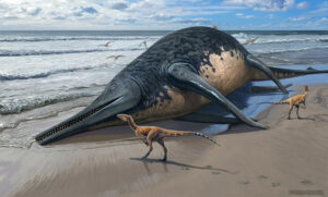 Fóssil de réptil de 202 milhões de anos é maior que uma baleia-azul