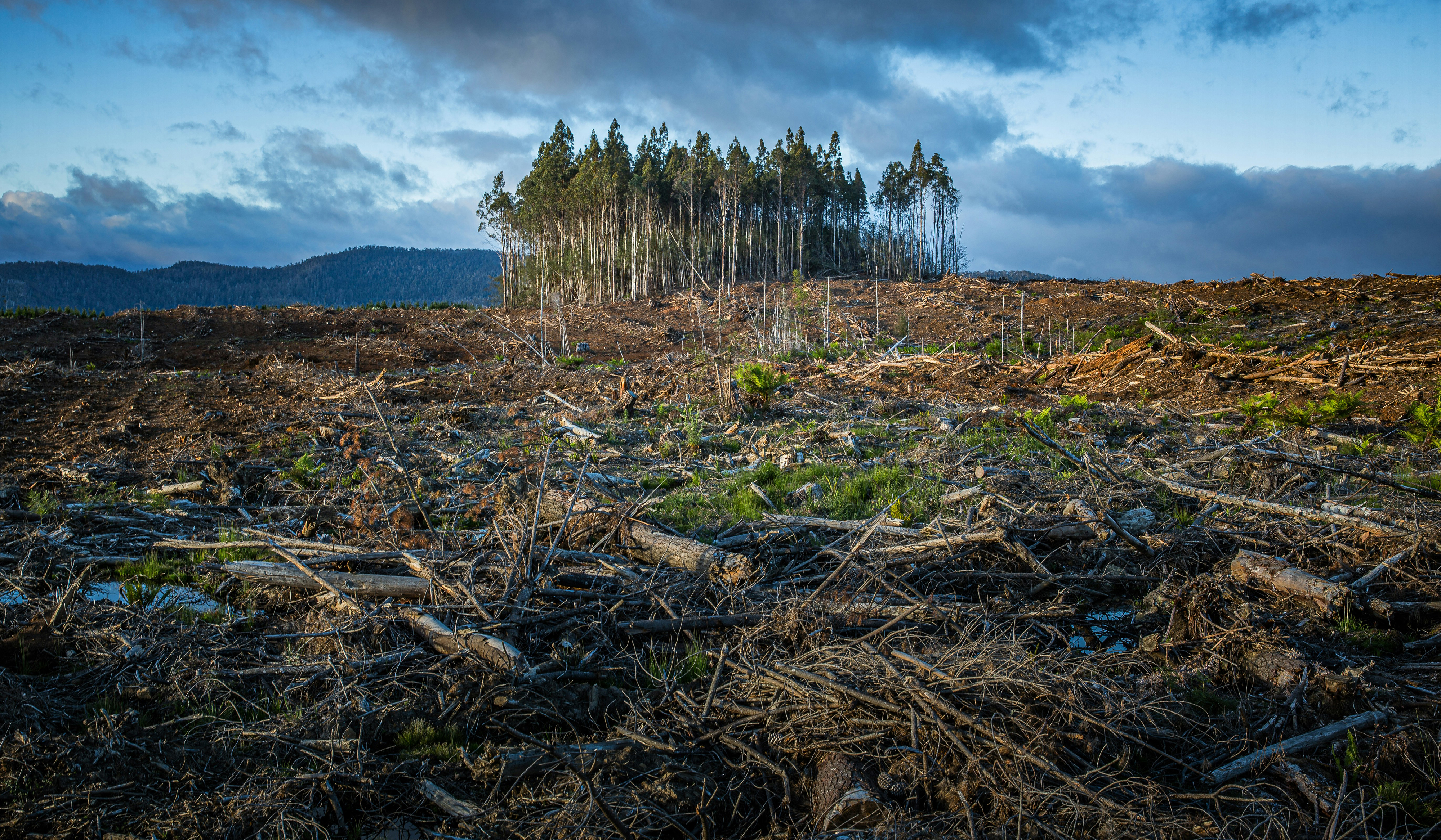 Mudanças climáticas podem custar US$ 2,6 bilhões ao Brasil