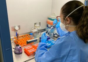 Vacina de DNA contra o zika apresenta bons resultados em testes com camundongos