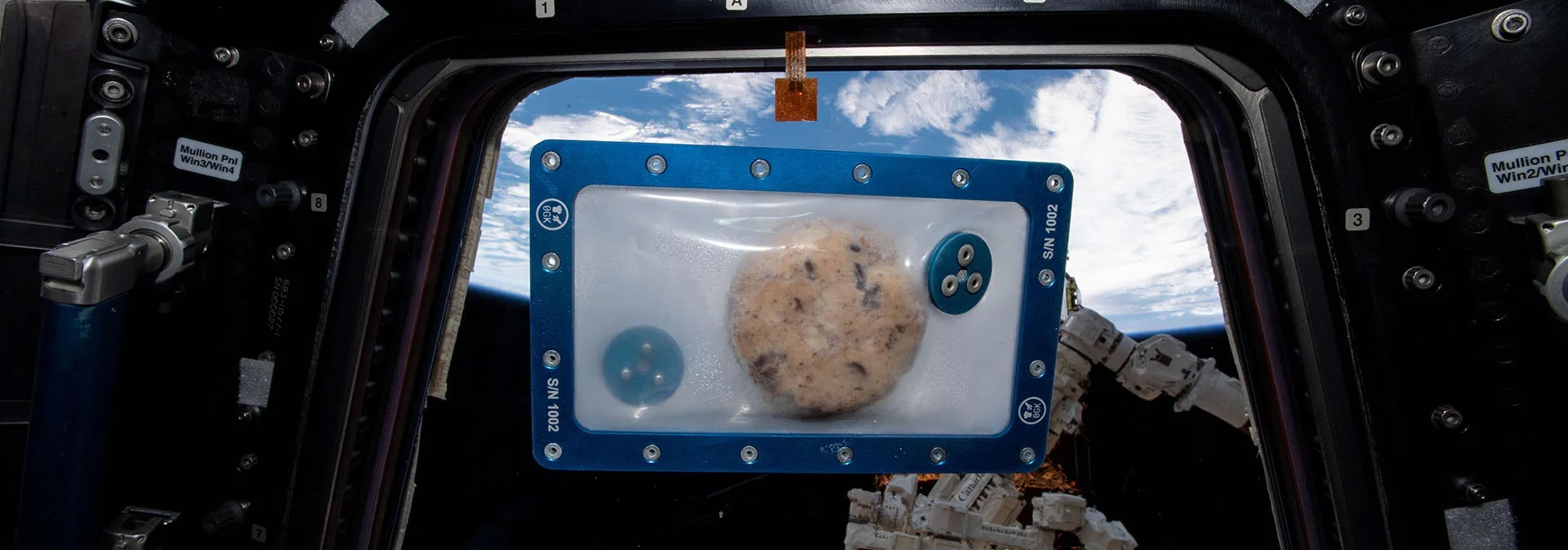 La 1ª galleta horneada en el espacio está en exposición y mantiene su aroma