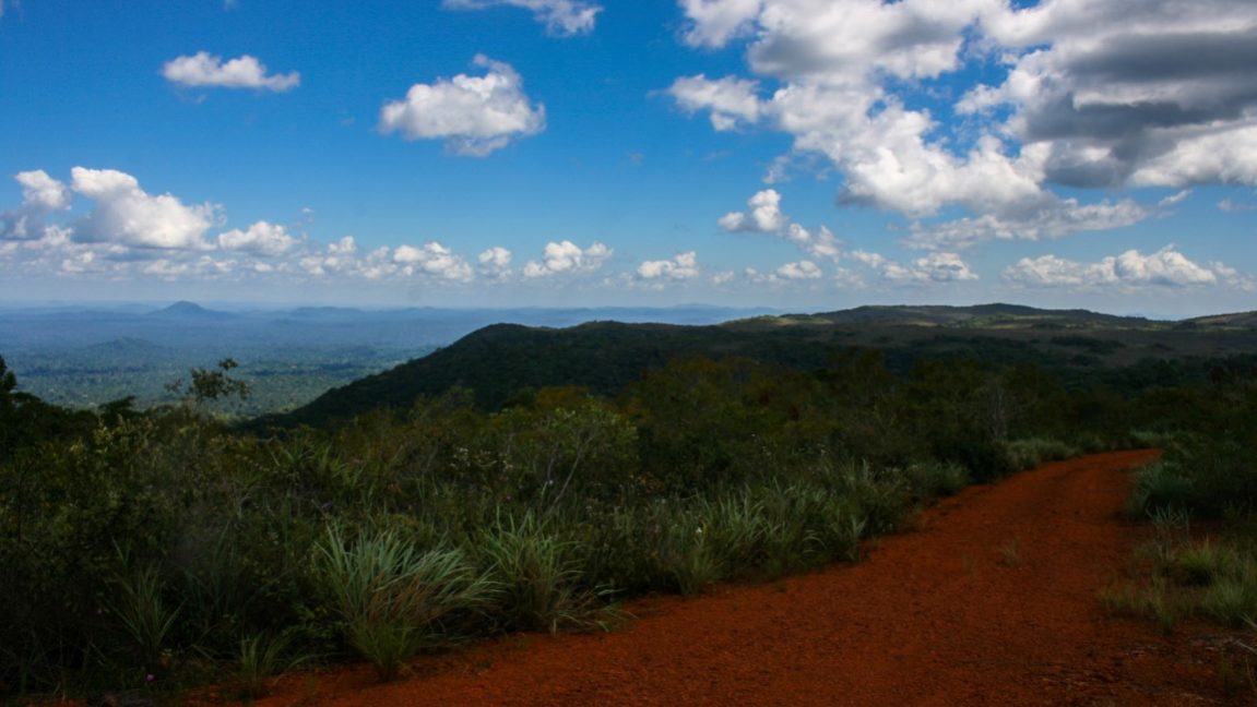 Nova técnica pode recuperar ecossistemas raros e reduzir impacto da mineração na Serra dos Carajás (PA)