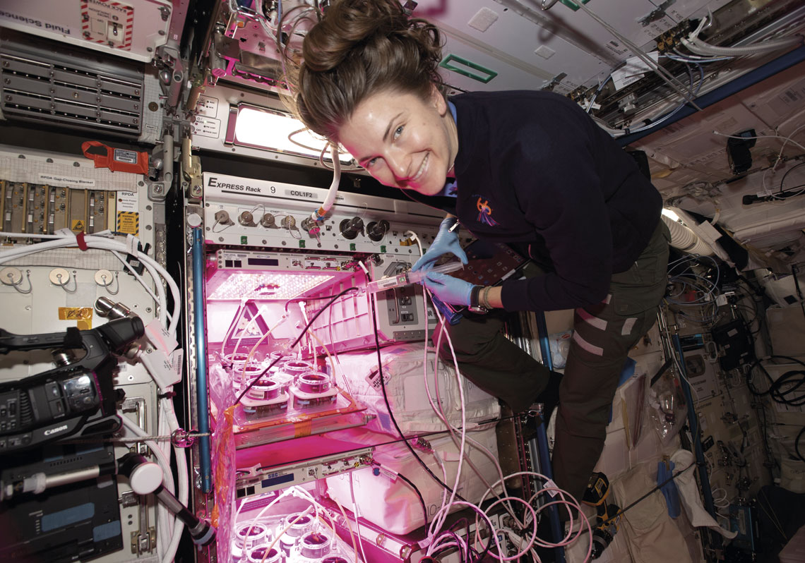 Astronauta Kayla Barron trabalha em um experimento do projeto Veggie no espaço.