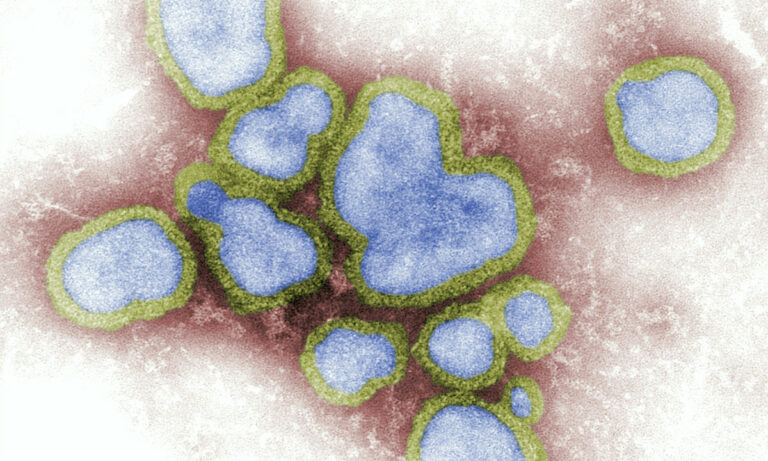 Molécula produzida no intestino pode ter efeito protetor contra gripe, indica estudo