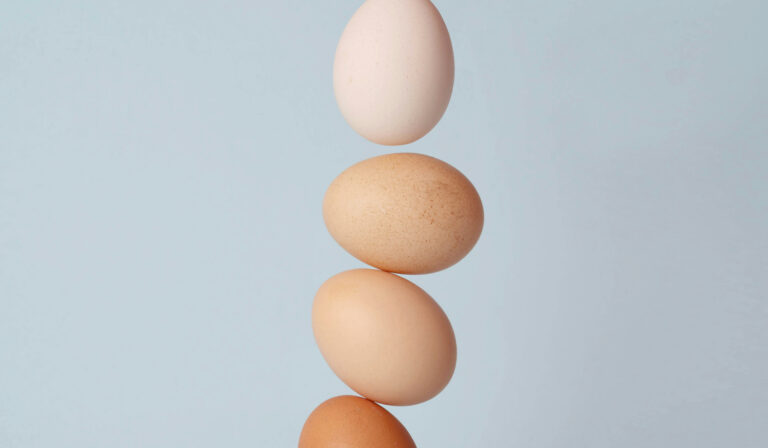 Quem veio primeiro: o ovo ou a galinha? Zoologia faz nova tentativa de solução