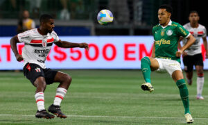 onde assistir palmeiras x botafogo-sp