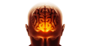 Fragmentos tóxicos de proteínas no cérebro podem ser marcadores de Alzheimer em vida