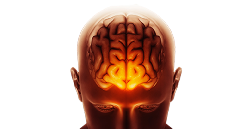 Giftige Proteinfragmente im Gehirn können Anzeichen einer Alzheimer-Krankheit im Leben sein