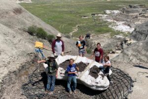 Crianças descobrem fóssil raro de Tiranossauro rex em parque nos EUA
