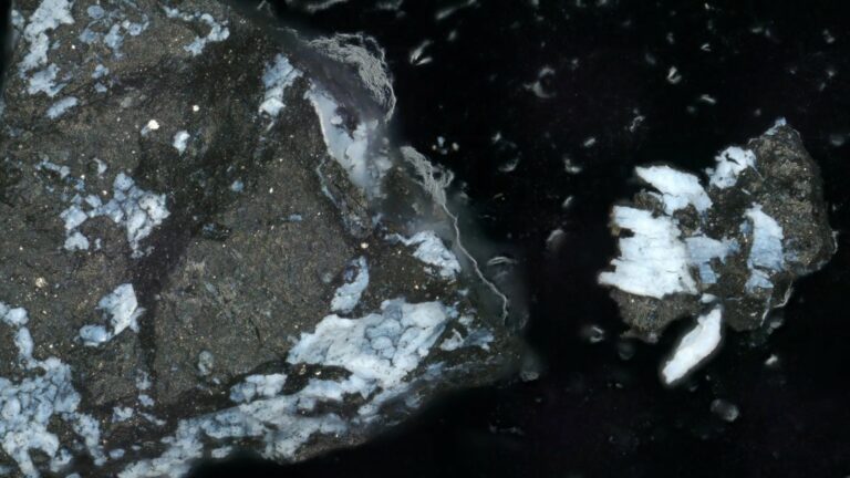 Asteroide Bennu veio de planeta com oceano, segundo a NASA
