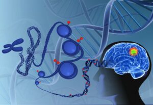 Tratamento contra câncer de cérebro modifica a forma como o DNA tumoral se comporta