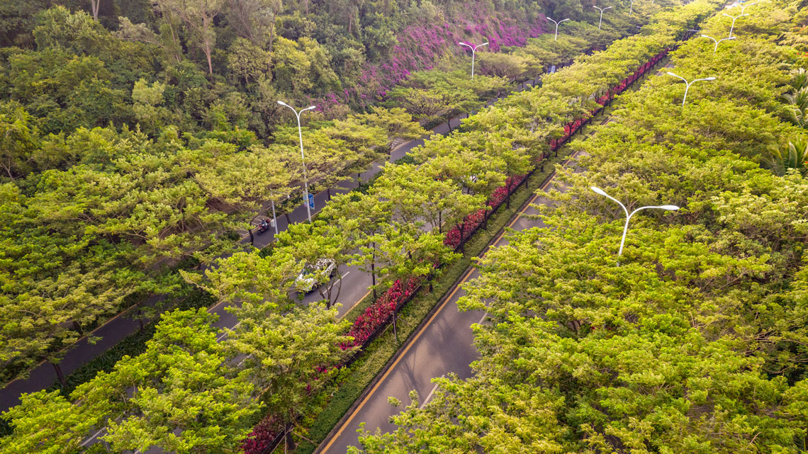 Via Fenghuang: rodovia de 12 quilômetros na província chinesa de Hainan ganhou soluções baseadas na natureza idealizadas por Yu