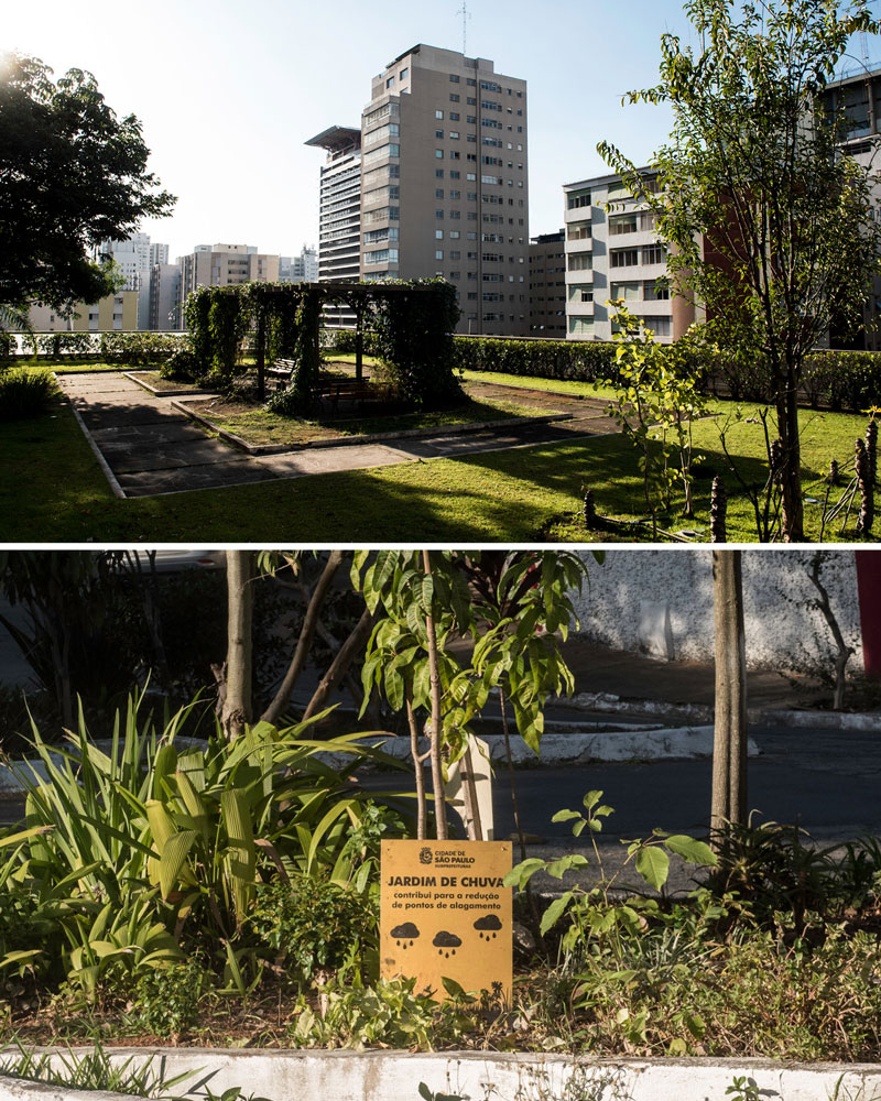 Telhado verde em prédio da avenida Paulista e jardim de chuva no bairro de Pinheiros, ambos em São Paulo