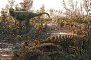 Marcas feitas por insetos em ossos de rincossauro indicam atividade subterrânea