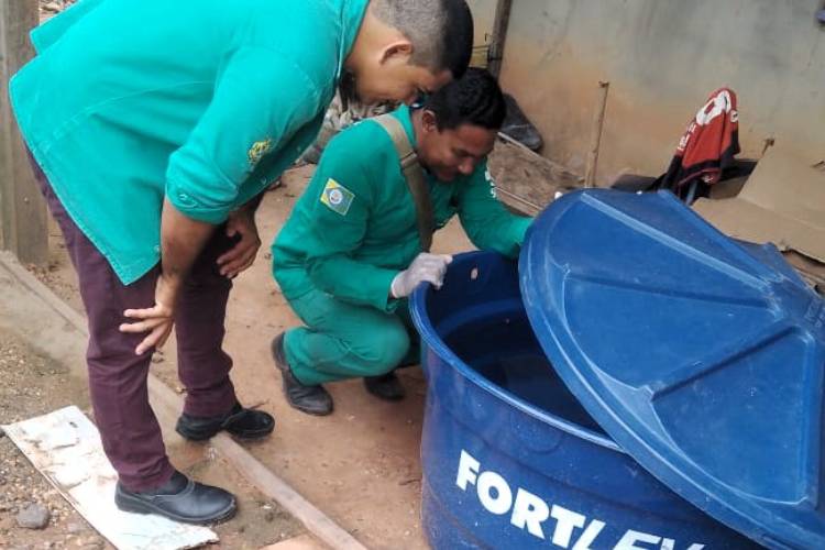 Técnicos da Secretaria de Vigilância em Saúde do Amazonas inspecionam caixa d'água atrás de focos do mosquito que transmite a febre Oropouche