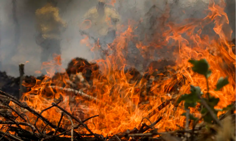 Os incêndios no Pantanal são o principal problema ambiental do Brasil
