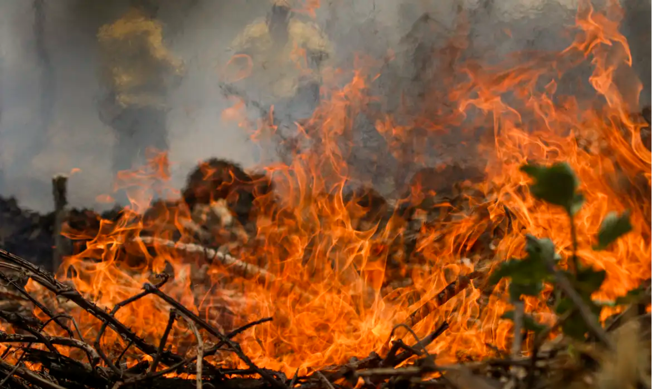 Os incêndios no Pantanal são o principal problema ambiental do Brasil