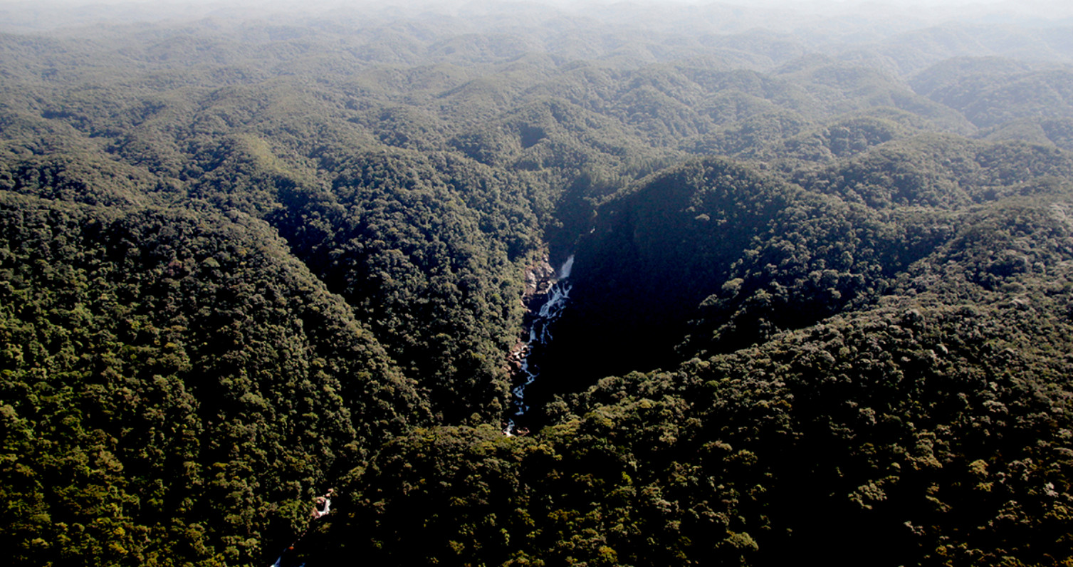 Legislação da Mata Atlântica é insuficiente para sua preservação; pesquisadores sugerem melhorias