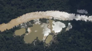 Garimpo ilegal provoca aumento nos casos de malária na Amazônia em quatro anos, afirma estudo
