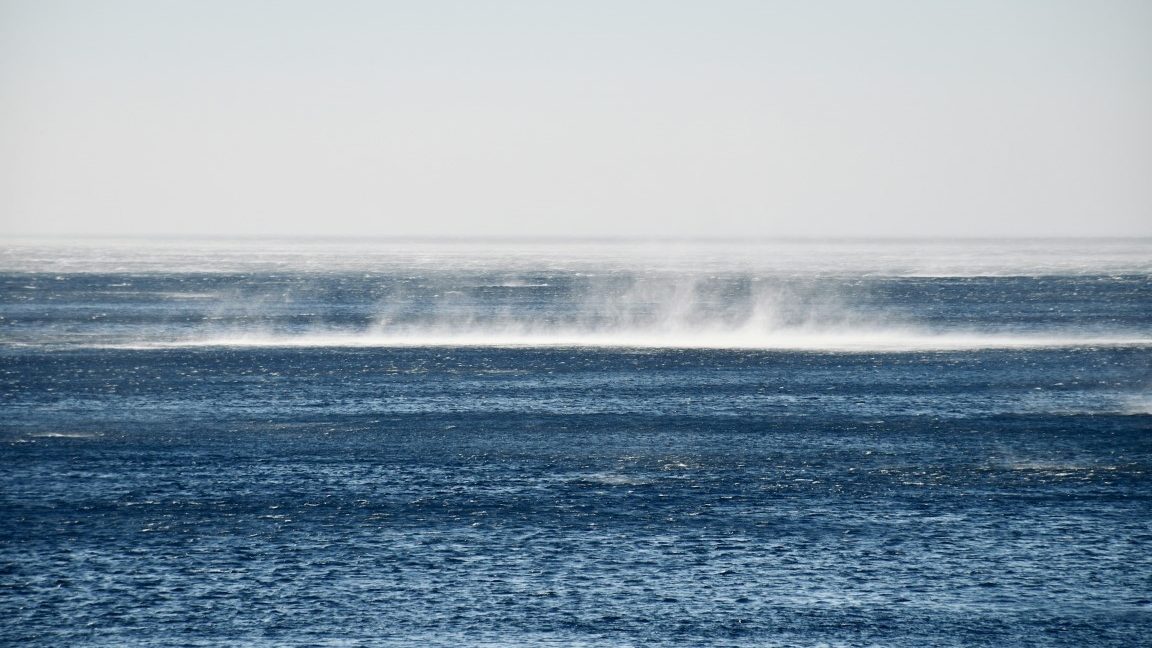 Aumento da acidez do oceano Atlântico por causa das mudanças climáticas ameaça corais em mares brasileiros