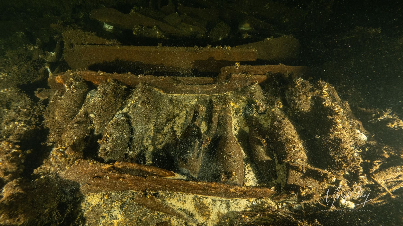 Garrafas de champanhe em navio afundado no Mar Báltico