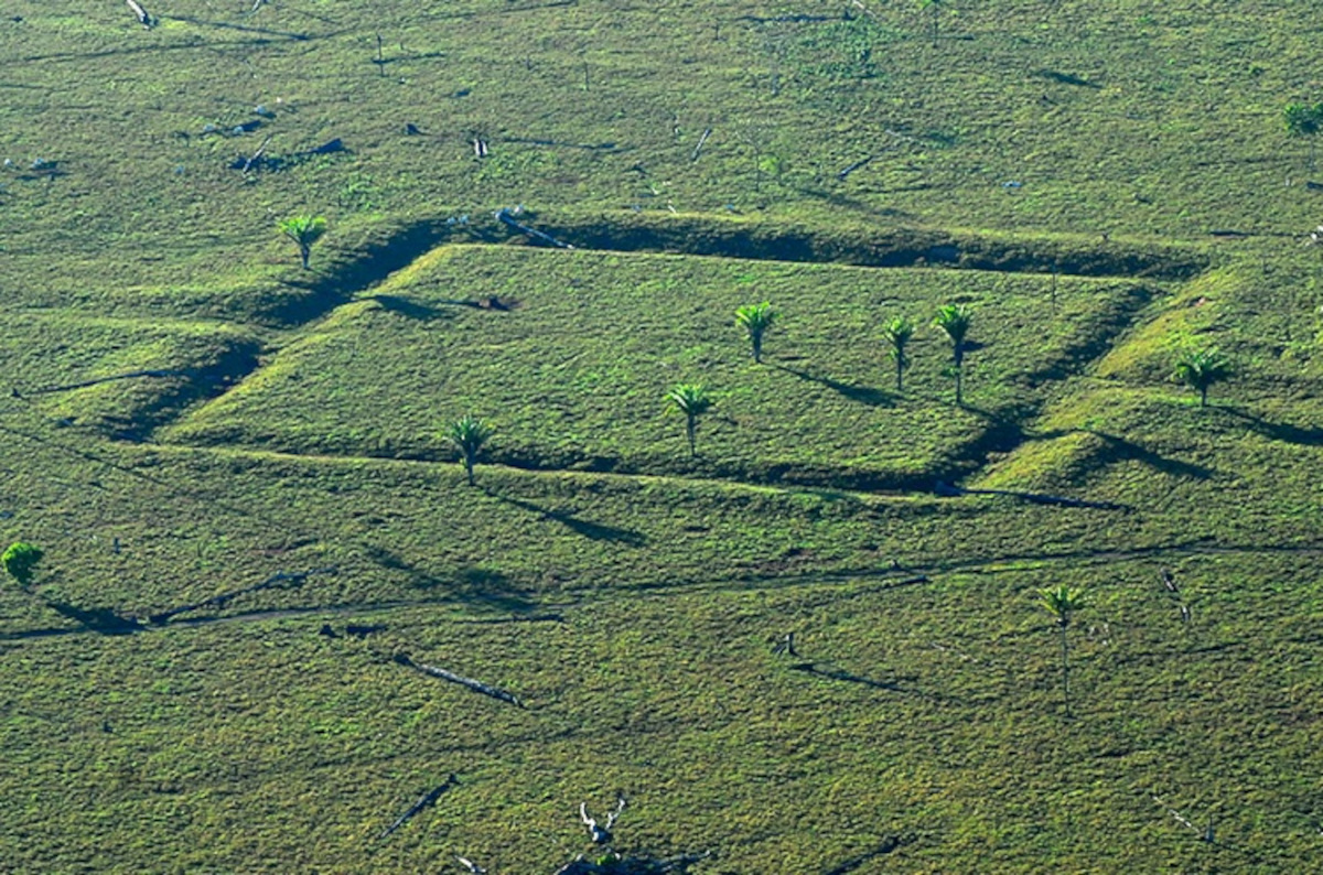 Cientistas se unem a povos da floresta amazônica para proteger sítios arqueológicos em risco