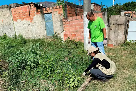 Profissionais do IOC Fiocruz e da Suvam Nova Iguaçu em atividade de campo para coleta de caramujos no bairro Ipiranga - Fiocruz/Divulgação