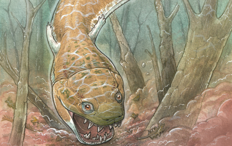 Ilustração de como seria o monstro do pântano que habitou a Namíbia há 280 milhões de anos