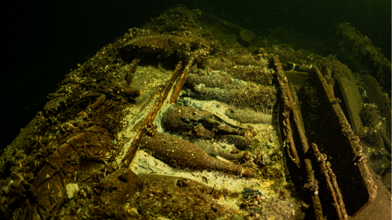 Arqueólogos encontram mais de 100 garrafas de champanhe em navio afundado