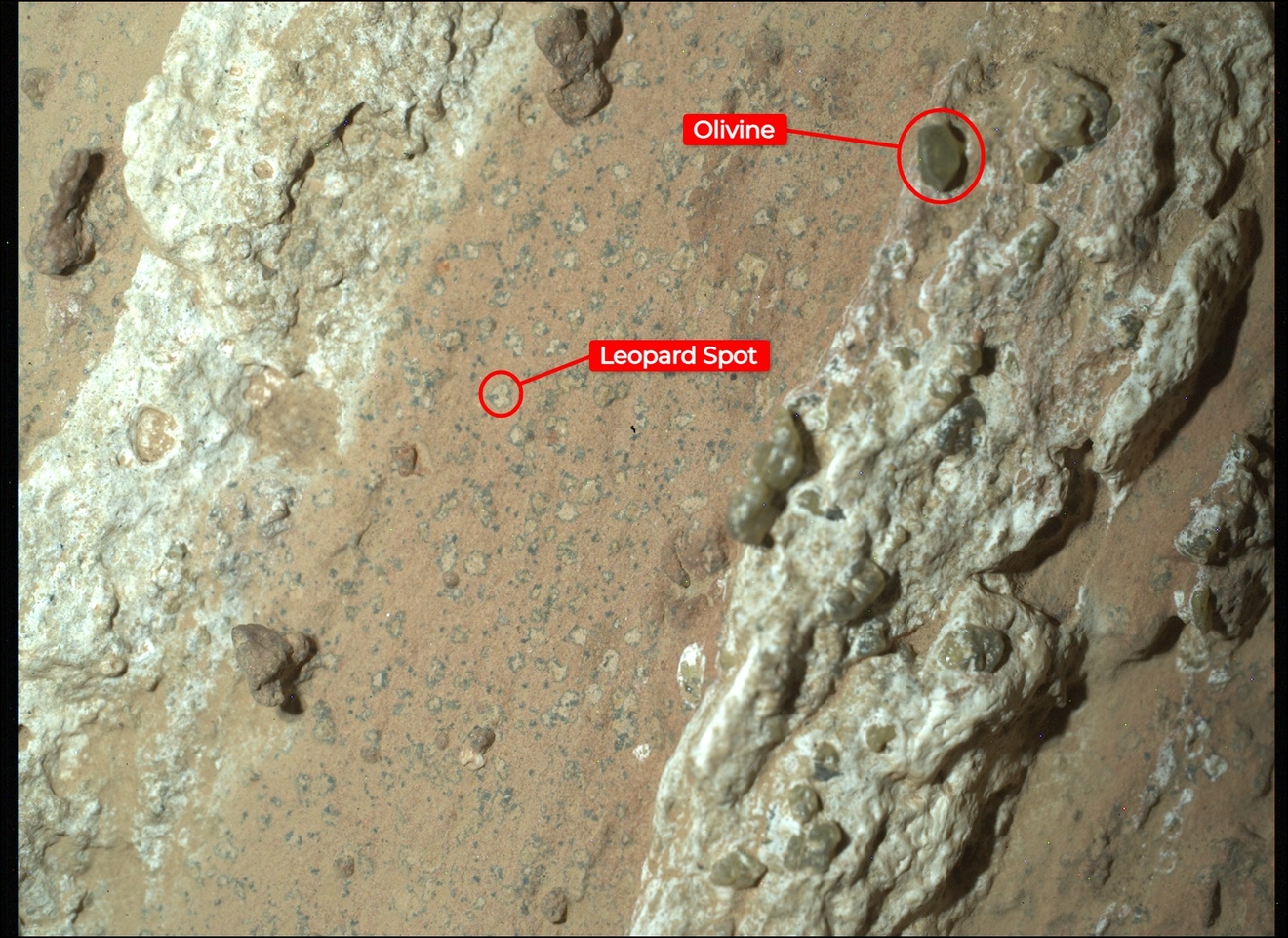 Perseverance encontra rocha em Marte que pode apontar para existência de vida.