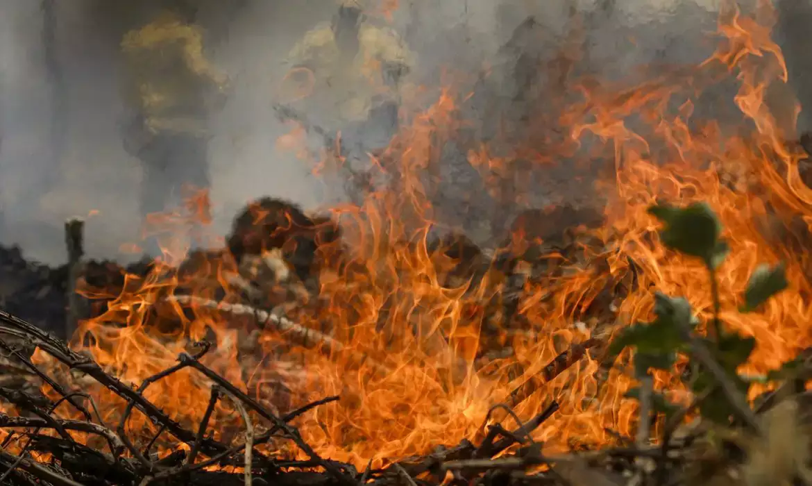 Mudanças climáticas aumentaram condições favoráveis a incêndios florestais sem precedentes, diz pesquisa