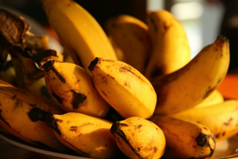 Pandemia de nova cepa de fungo mortal pode causar apocalipse das bananas