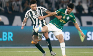 onde assistir botafogo x palmeiras