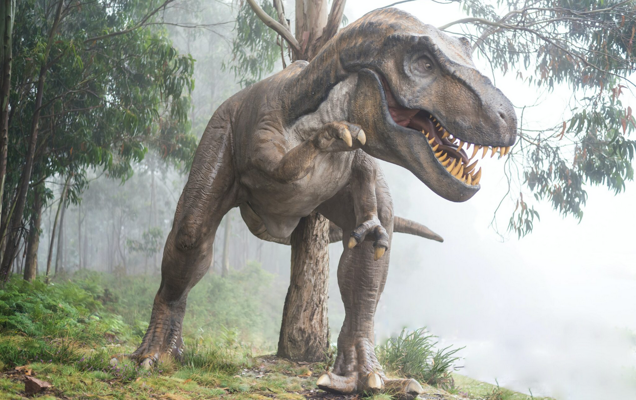 Cientistas encontram pegadas idênticas de dinossauros no Brasil e na África